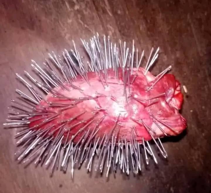 WhatsApp Image 2025-08-12 à 12.43.21_8f23b162